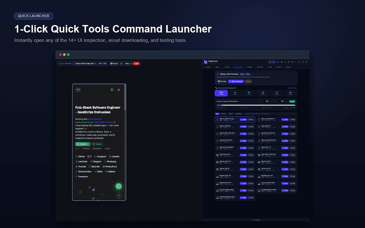 WebExtract — Web Assets & UI Inspector